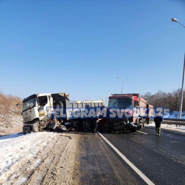 Источник: «Svodka25 l Новости Приморья и Владивостока» / T.me