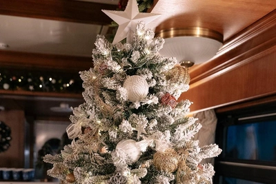 Кузбасс выбирает искусственные ели к Новому году