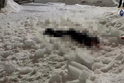 Задержан нижегородец по делу о гибели девушки от наледи