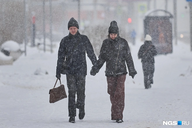 Максимально температура поднимется в следующее воскресенье | Источник: Александр Ощепков / NGS.RU