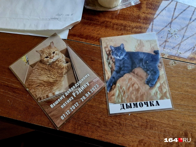 Таблички хозяевам не понадобились | Источник: Виктория Федорова / 164.RU