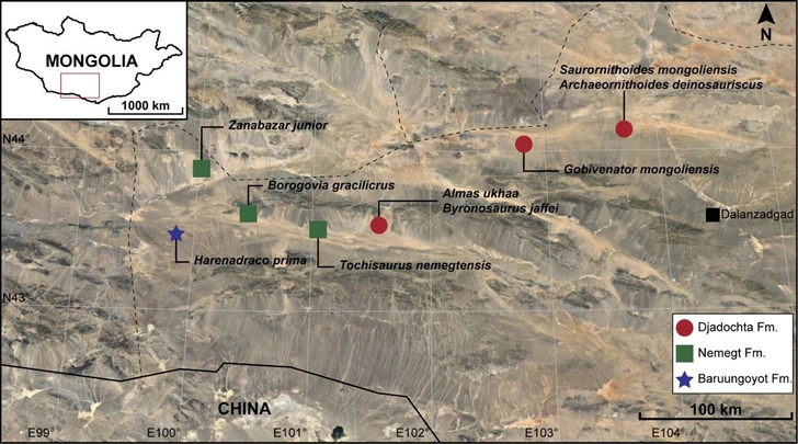 В Монголии открыли новый вид птицеподобных динозавров