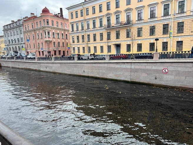 Источник: СПб ГБУ «Мостотрест»