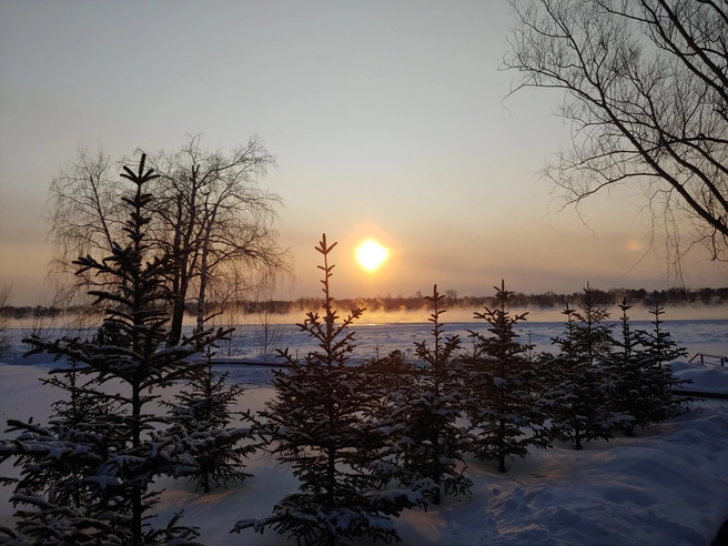 Курорт расположен в живописной локации | Источник: Green Wood spa&hotel