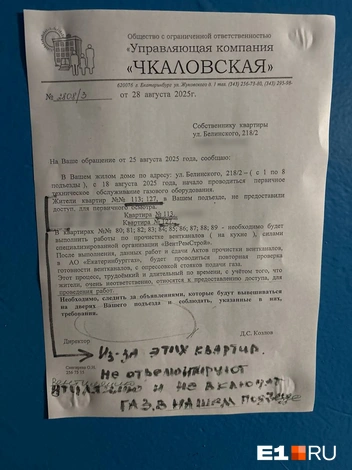 Источник: читательница E1.RU
