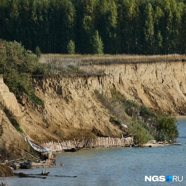 Правда, местных дачников этот процесс абсолютно не радует | Источник: Александр Ощепков / NGS.ru