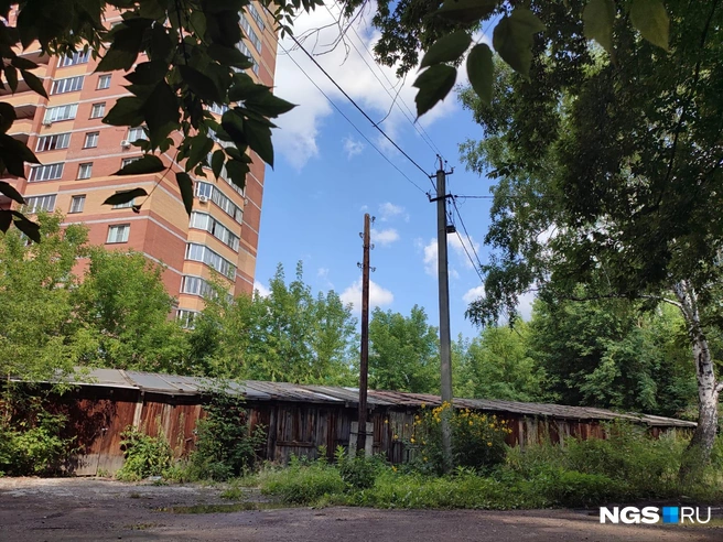 Во дворе — сарайки под уголь и дрова | Источник: Илья Калинин / NGS.RU