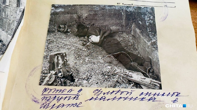 Источник: Виктория Михайлюк