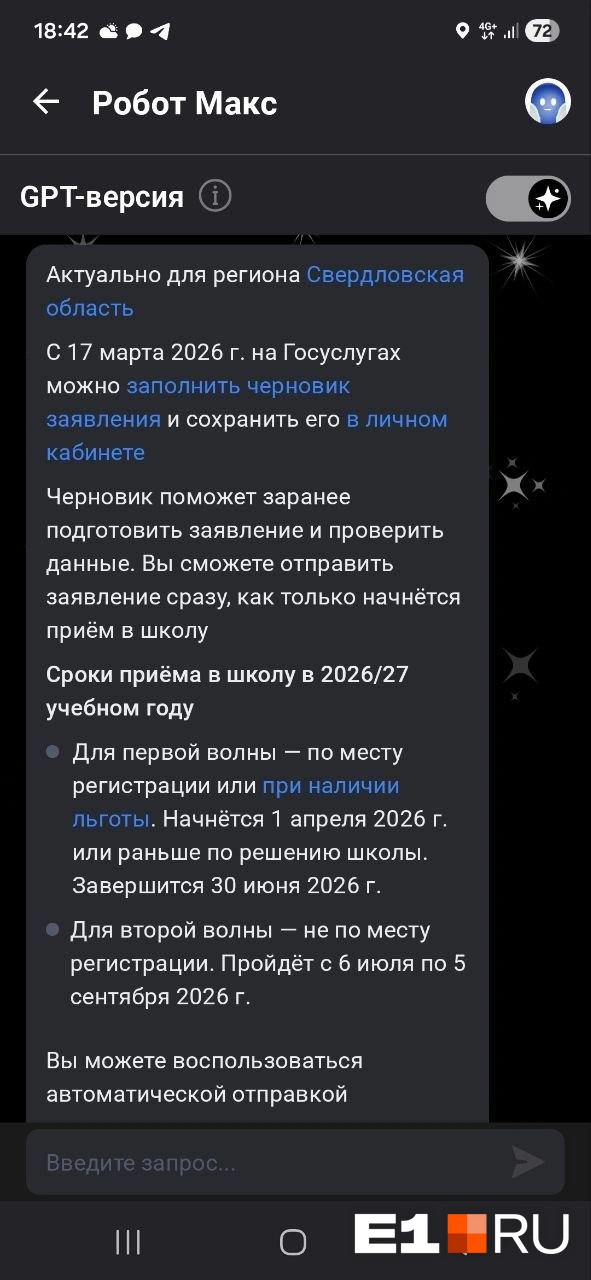 Так выглядит черновик для записи ребенка в школу | Источник: читатель E1.RU