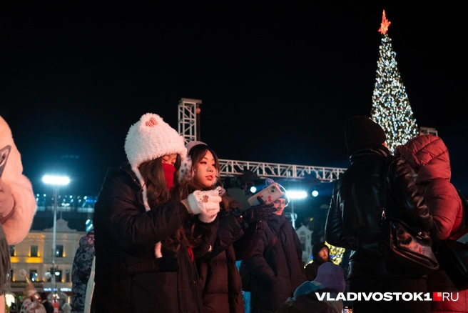 Источник: Елена Буйвол / VLADIVOSTOK1.RU