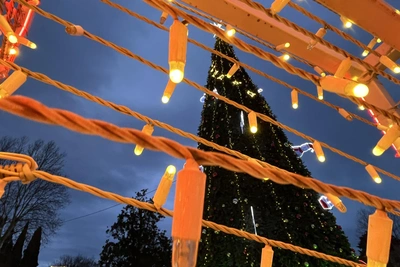 Новогодний Сочи: шары, Чебурашка и пальмы