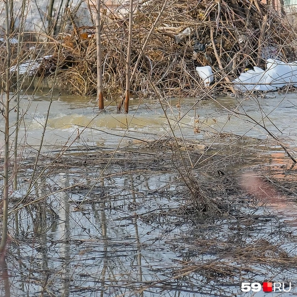 Вода бьет из-под земли | Источник: Василина Любимова / 59.RU