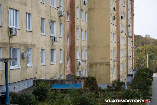 Источник: Елена Буйвол / VLADIVOSTOK1.RU