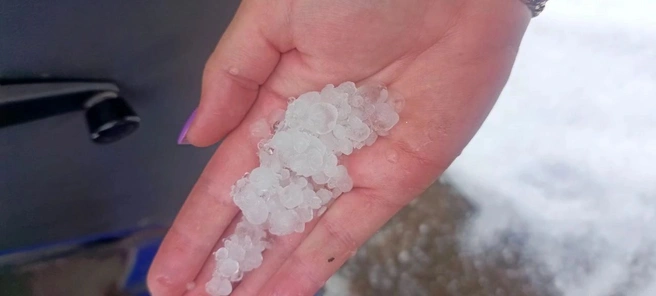 Первый снег выпал в Иркутской области | Источник: Инцидент Иркутск / Telegram