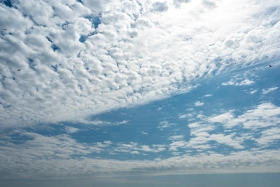 Грохот в небе над Ростовом и Батайском: власти призывают не паниковать