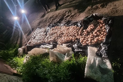Полиция изъяла 2 тонны гребешка у браконьеров