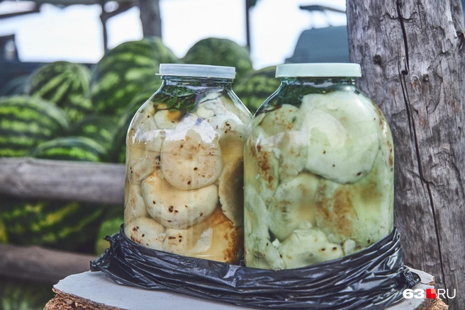 Это привезли сыроежки бордовые | Источник: Роман Данилкин / 63.RU