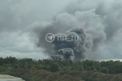Пожар у агрокомбината «Горьковский»: что известно