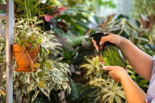 Источник: Kostikova / iStock