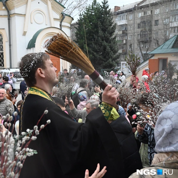 В славянских странах верба заменила пальму | Источник: Ева Михалевская / NGS.RU