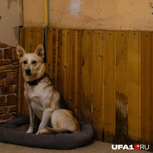 Источник: Булат Салихов / UFA1.RU