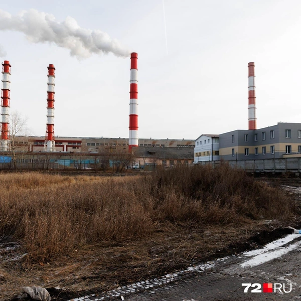 Источник: Ирина Шарова / 72.RU