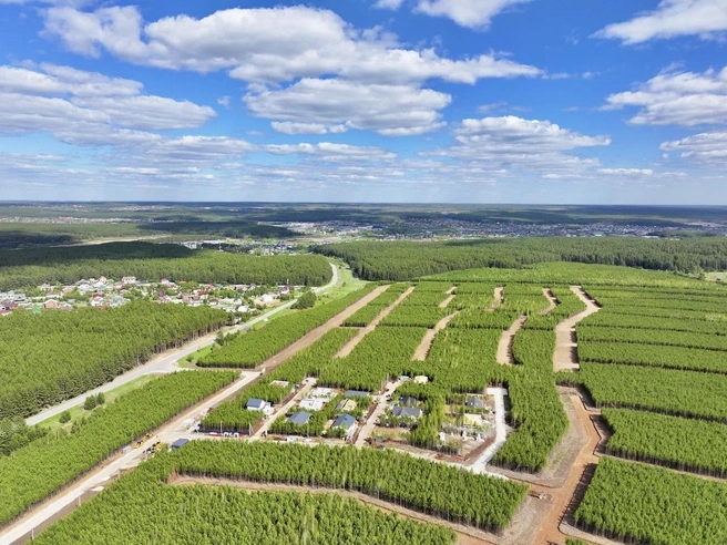 Жизнь за городом&nbsp;— это осознанный выбор многих семей | Источник: «ДемоГород»