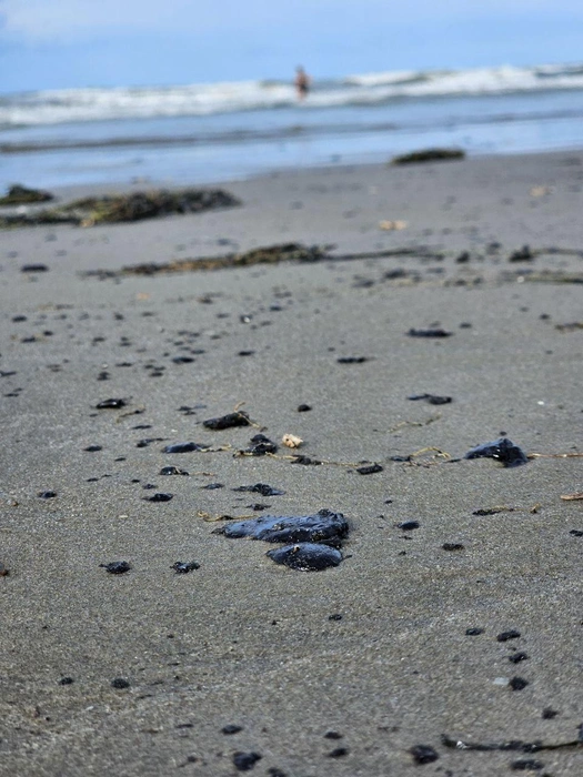 Картина не такая ужасающая, как в декабре прошлого года, но приятного всё равно мало | Источник: MoreOz / T.me