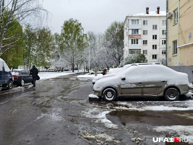 Источник: Булат Салихов / UFA1.RU