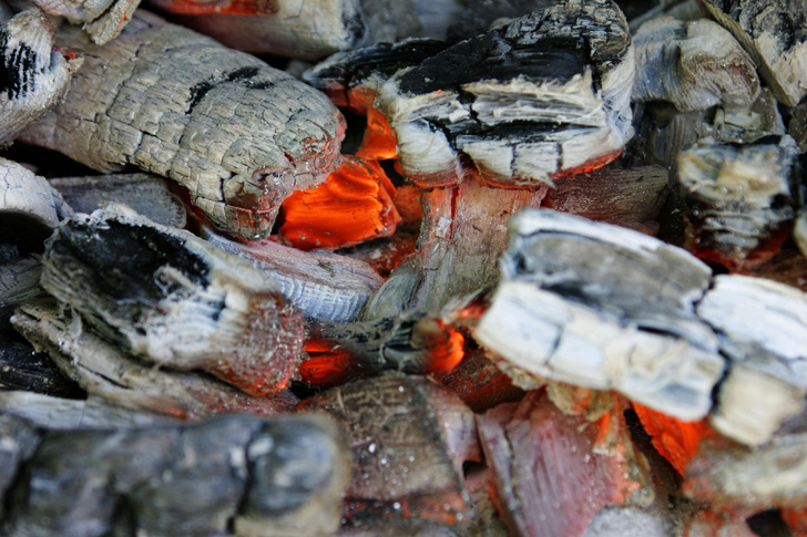 Топливо дачных пиров: как выбрать уголь для мангала