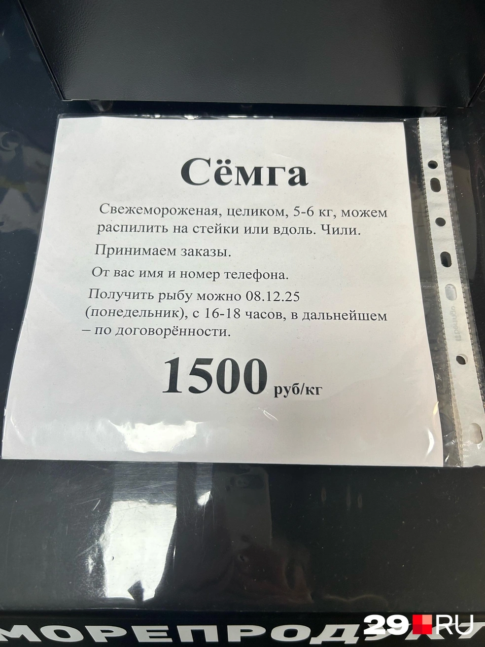 Источник: Кристина Полевая / 29.RU