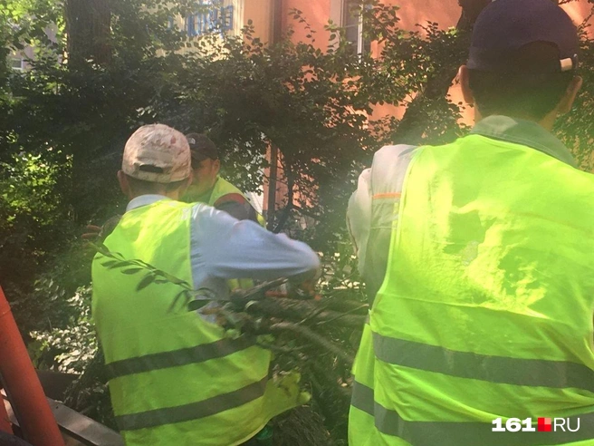 До этого жильцам просто не отвечали на жалобы и телефонные звонки | Источник: Наталья Гончарова