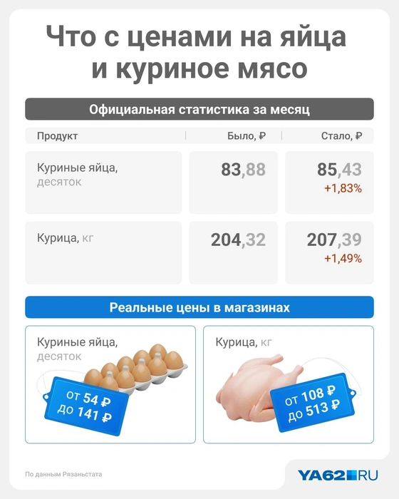 Рязани еще повезло относительно других регионов, где официальные цены как здесь максимальные | Источник: Юрий Скулыбердин / Городские медиа