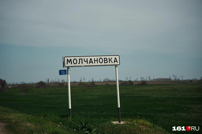 Источник: Артем Марьенко / 161.RU