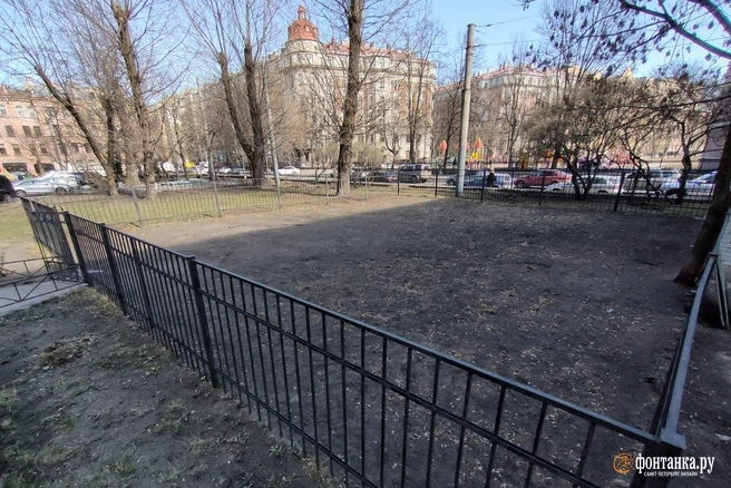 Площадка для выгула на Большой Пушкарской ул., напротив Матвеевского садаавтор фото Михаил Огнев / «Фонтанка.ру»