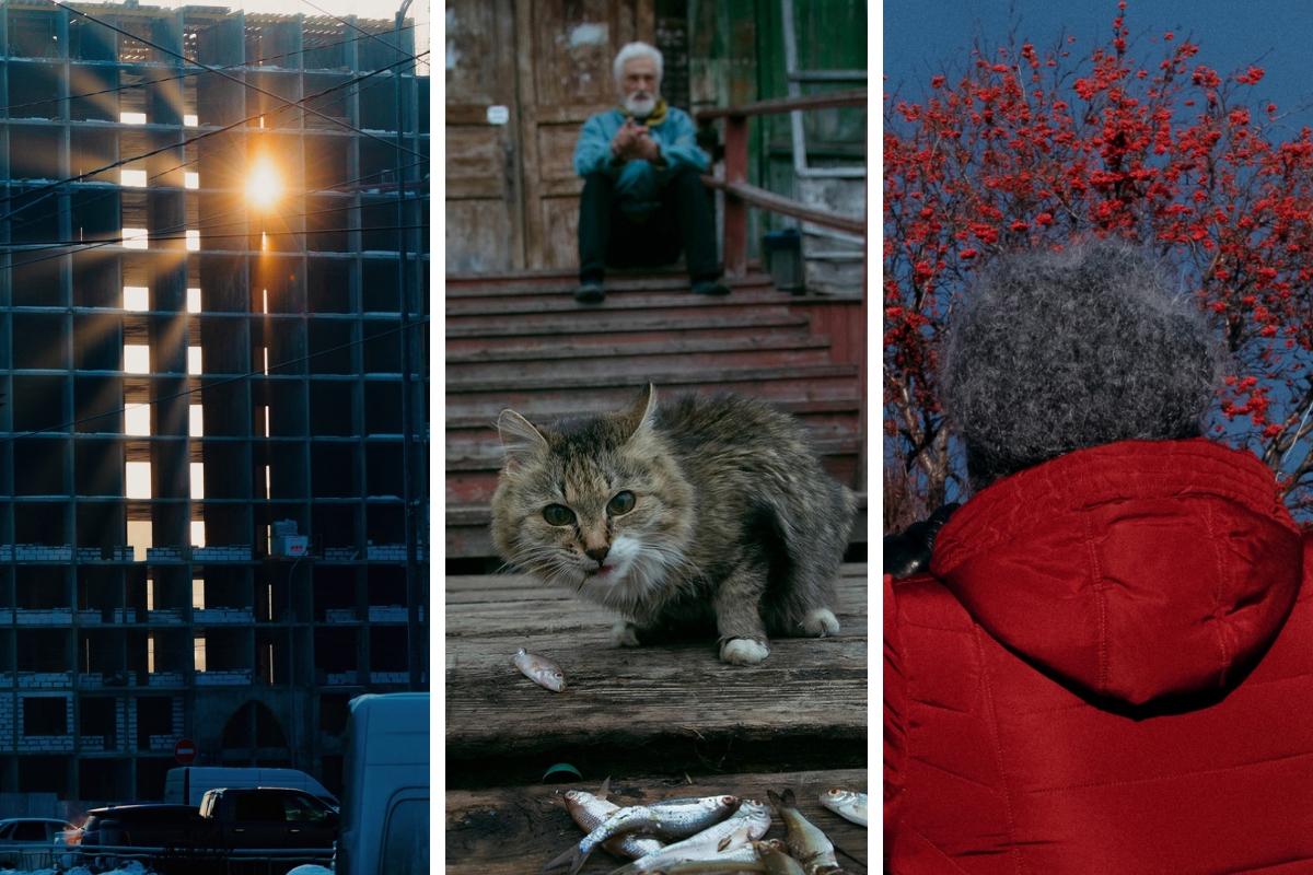 Вы это замечали? Наблюдения за Архангельском — в итоговом фоторепортаже года