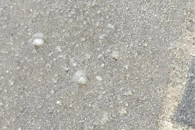 Град обрушился на Воронеж: ледяные шарики размером с горошину