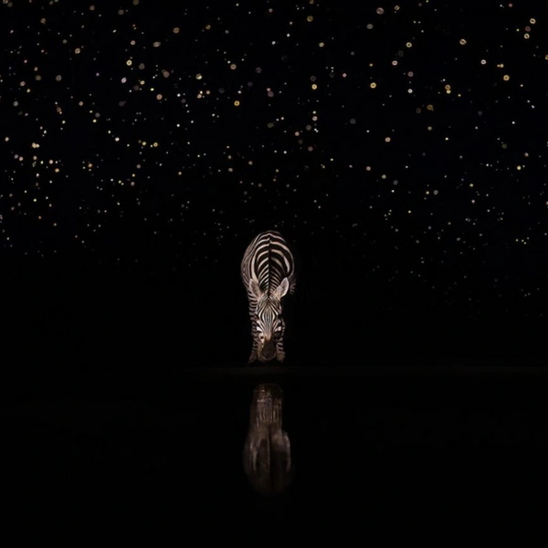 Финалист в номинации «Дикие животные» | Источник: Xuejun Long / 1839 Awards Photographer of the Year 2025