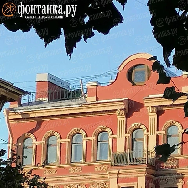 Домик на крыше. Кто живет в палатке в центре Петербурга  | Источник: читатель «Фонтанки»