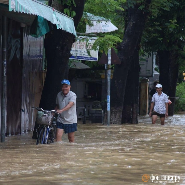 Источник: Павел Каравашкин / «Фонтанка.ру»