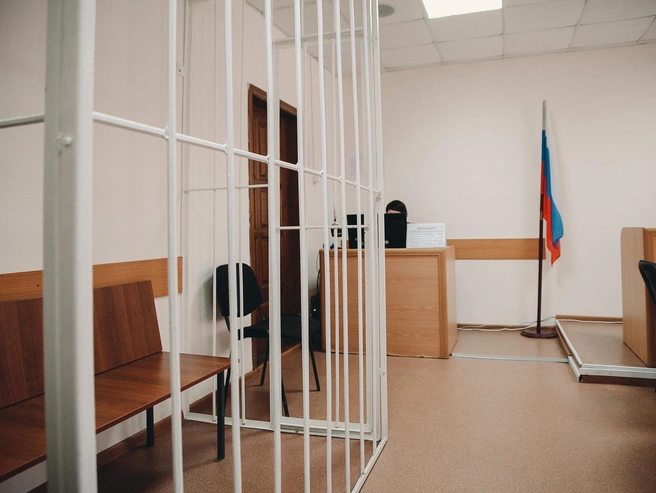 Суд назначил мужчине один год ограничения свободы. | Источник: Ирина Шарова / 72.RU