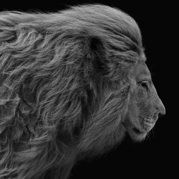 Источник: Patrick Ems / Fine Art Photography Awards 2025