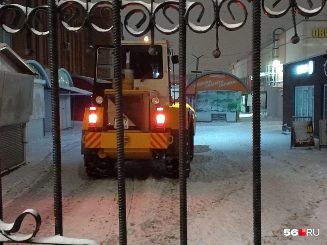 Источник: Анастасия Баринова / 56.RU