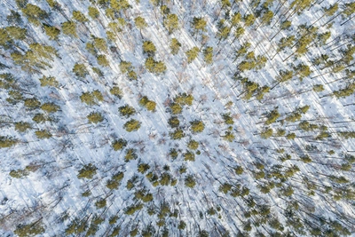 Подросток не вернулся из школы в Мошково