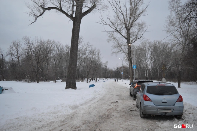 Источник: Анастасия Баринова / 56.RU