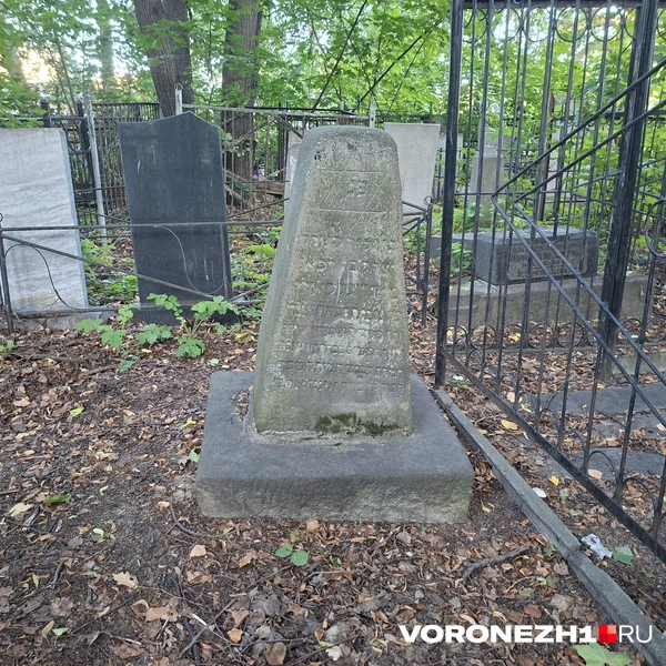 Источник: Алёна Воропаева / Voronezh1.ru