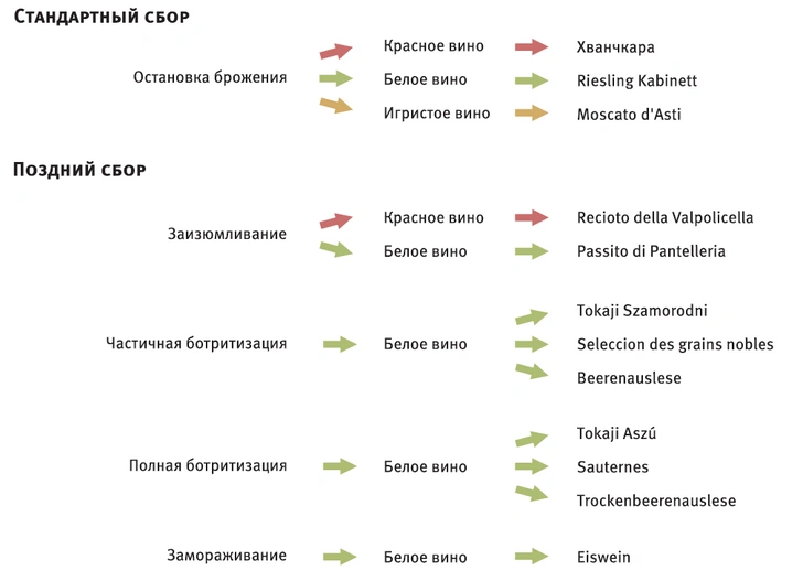 Как производят вина и какими они бывают: краткий гид с картинками