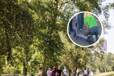 Смертельный наезд самоката на собаку на Татышеве