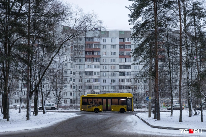 «Яавтобусы» дарят городу контрасты | Источник: Артем Бауман \ 76.RU