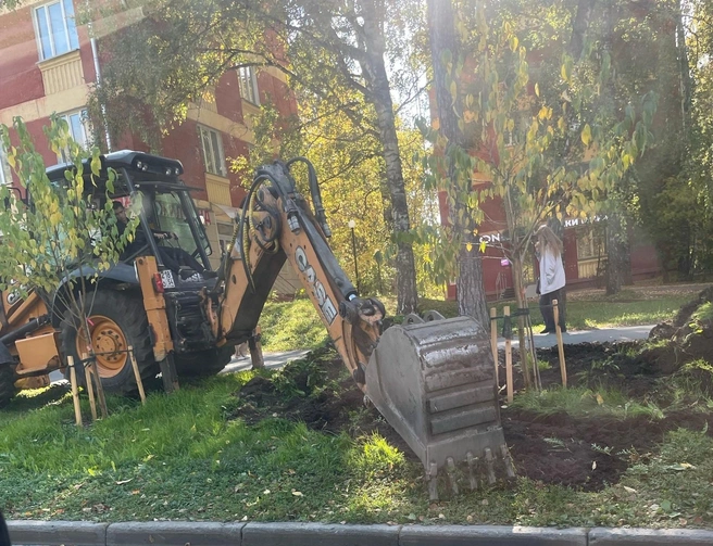 Возле саженцев на газоне новосибирцы заметили технику | Источник: Юлия Х., «Сообщество Академгородка | Новосибирск» / «ВКонтакте»